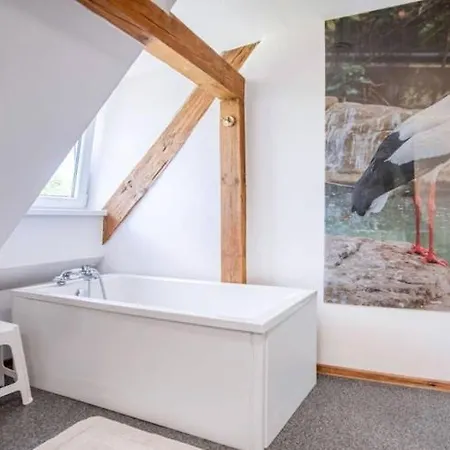 펜션 Comfortable House With A Swimming Pool And Sauna *